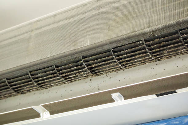Best Home Air Vent Cleaning  in Meridian, PA